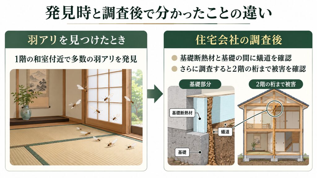 和室の羽アリ発見から調査によって2階の桁までシロアリ被害が分かった流れ