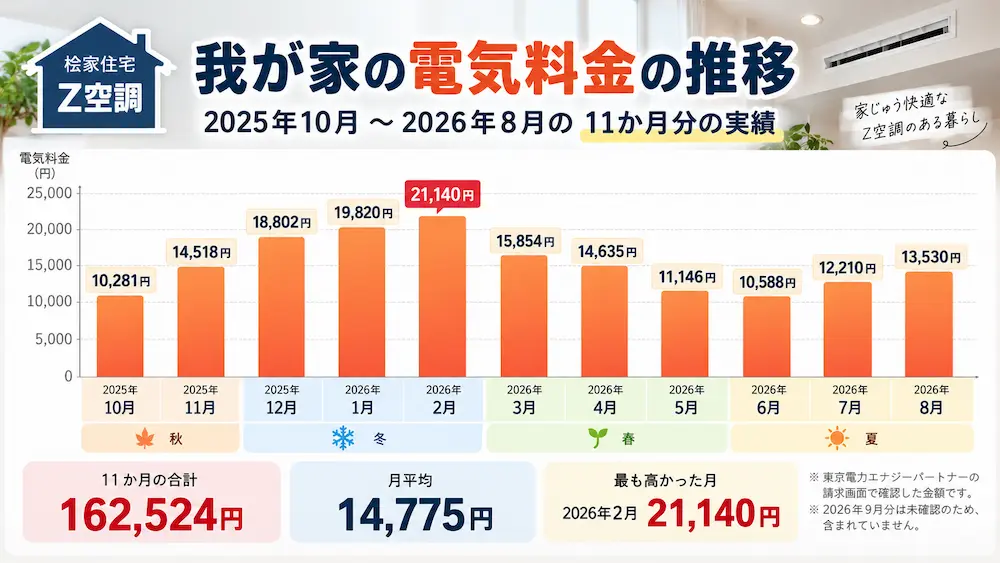 11か月分の電気料金グラフ